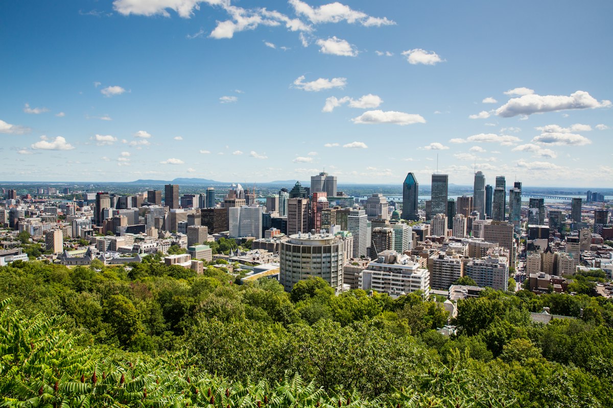 Green trees on Mount Royal with Montreal city in the distance