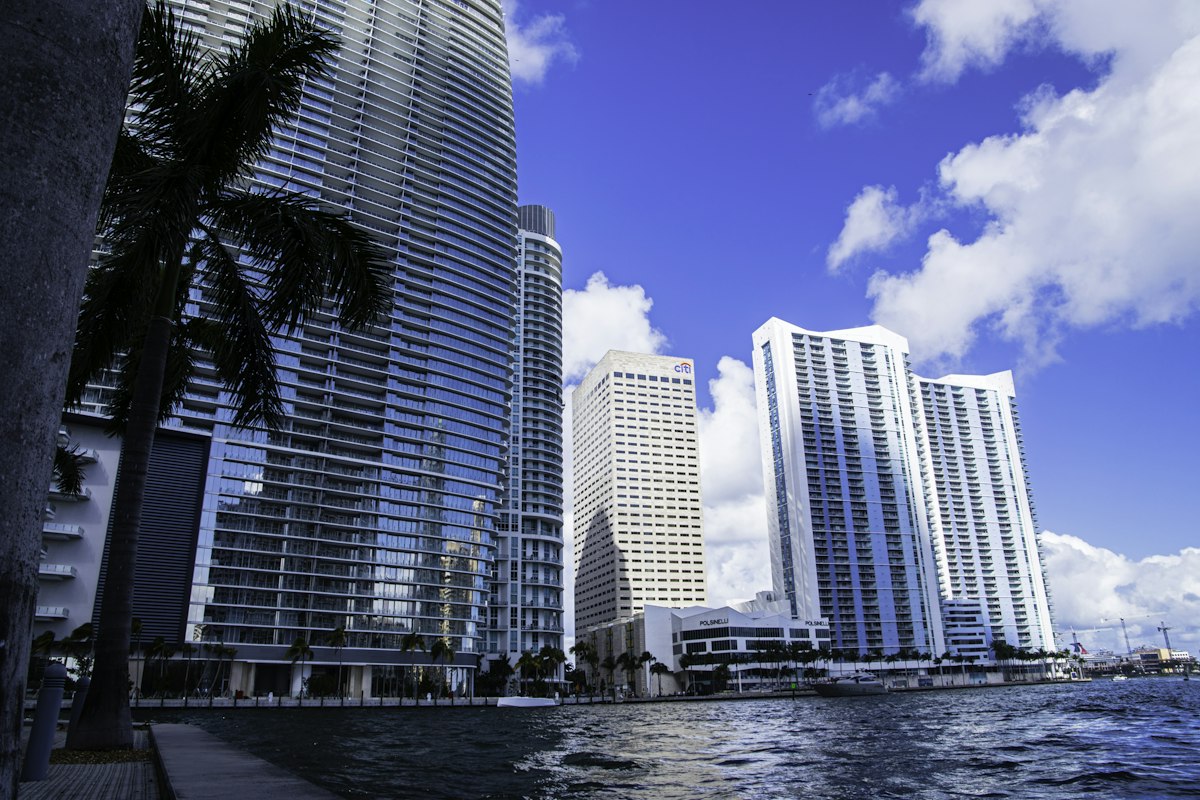 Miami waterfront skyline with palm trees under a sunny sky